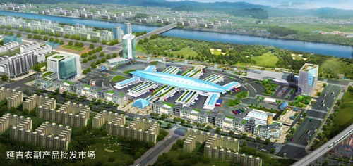 延吉市新机场规划图